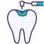 Tooth Extraction 